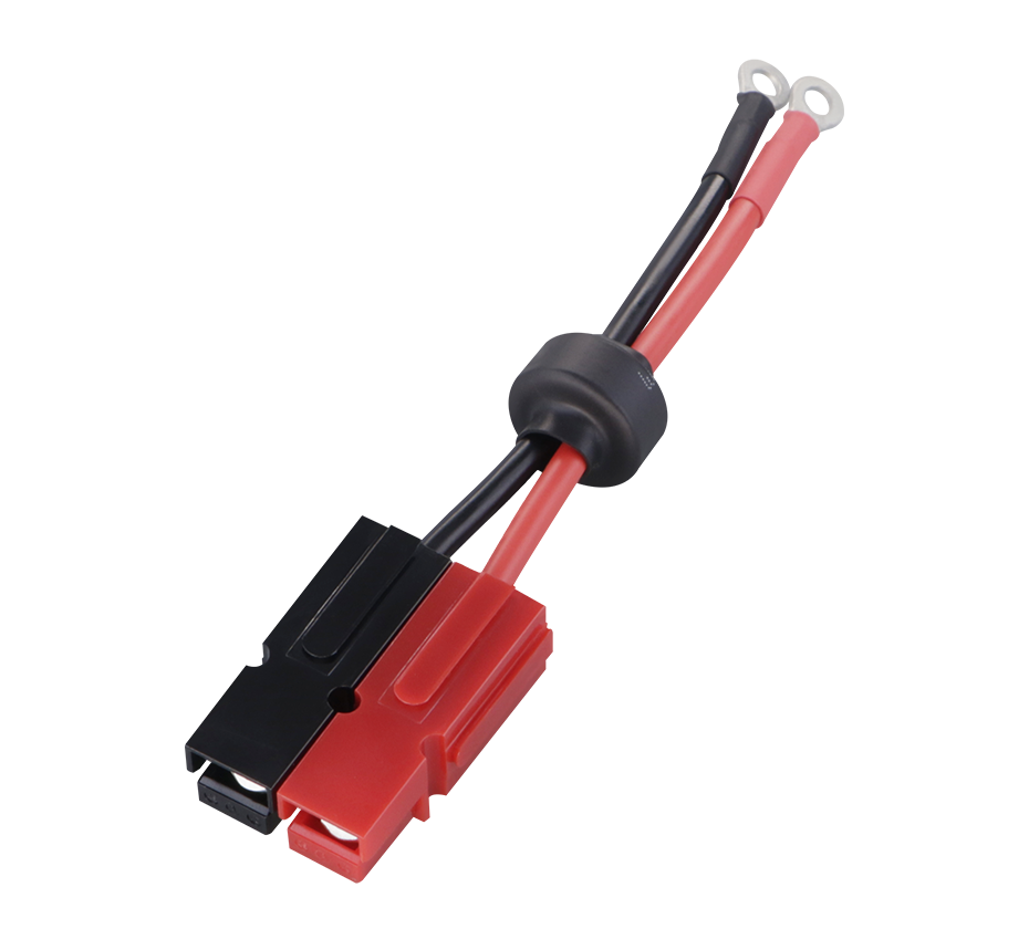 75A single-pole plug dual-pin power cord